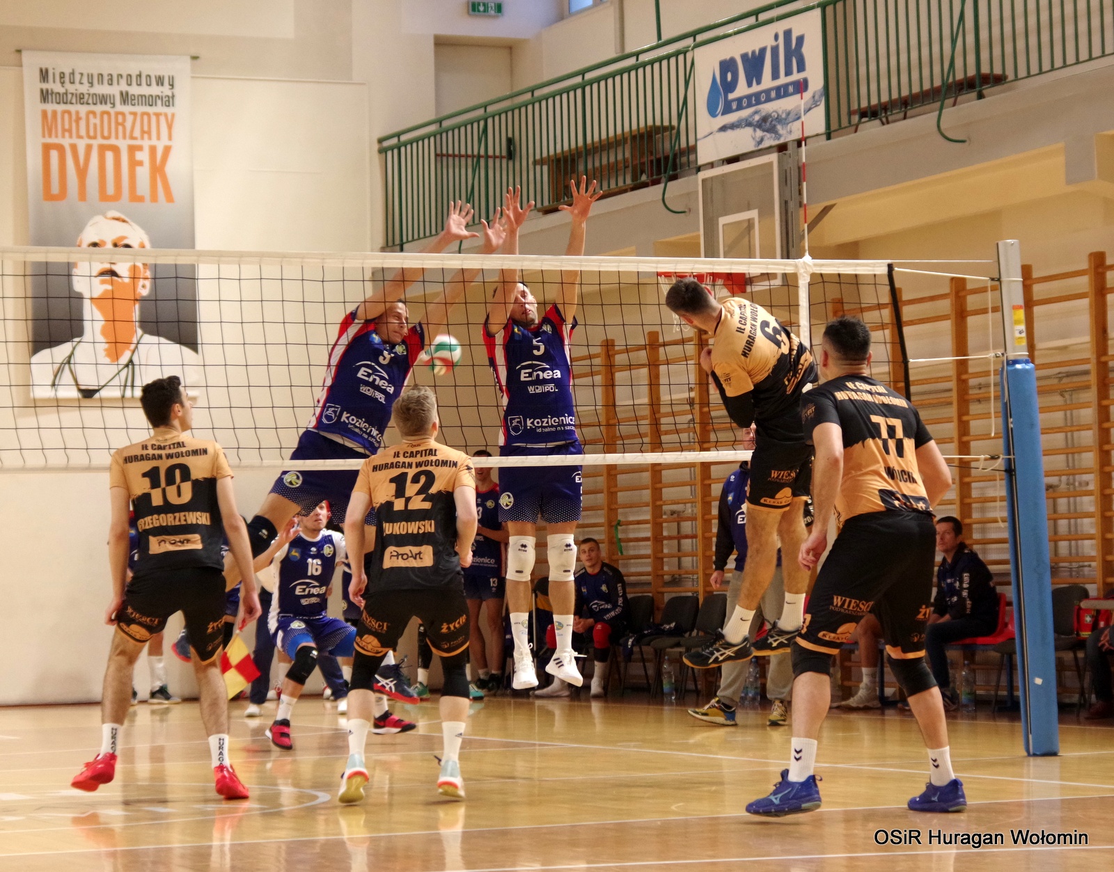 Weekend pod siatką (20-21 listopada)